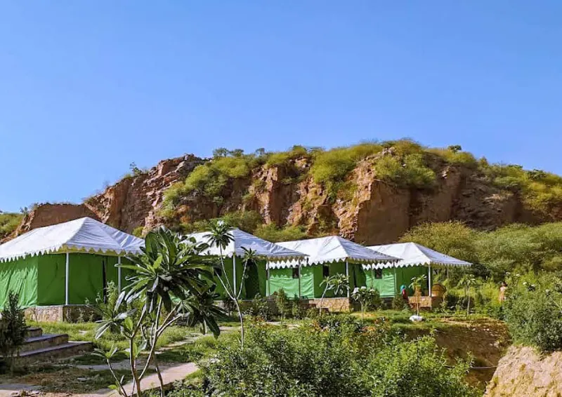 Jungle Tents and shaded outdoor seating below the Aravalli hillside