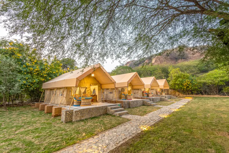 Farm Aravalia — retreat