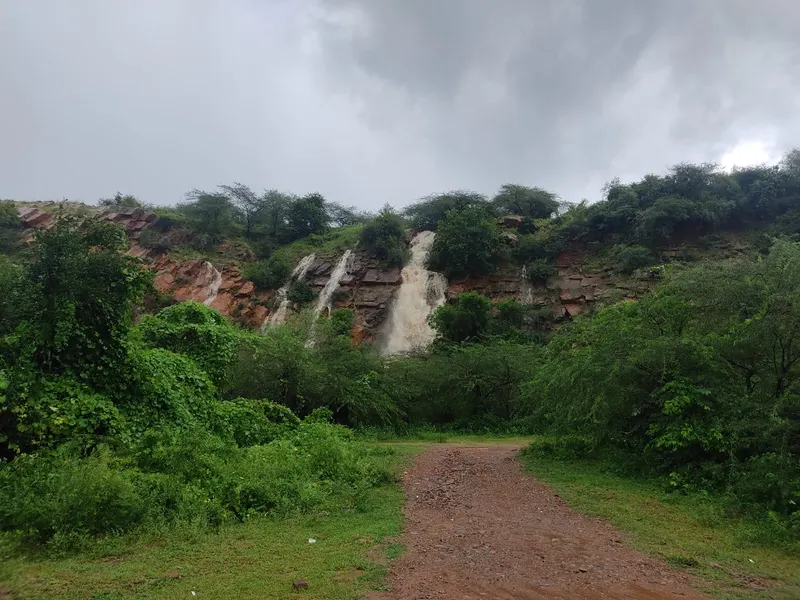 Farm Aravalia — retreat