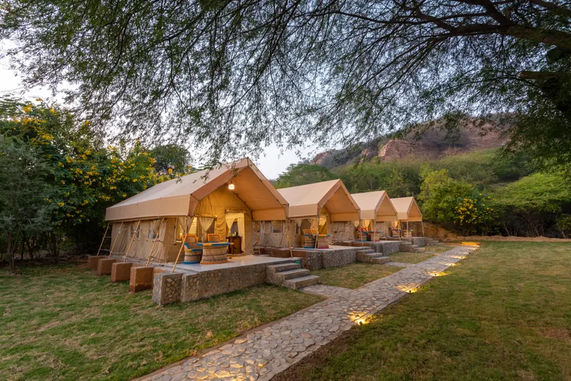 Safari Tents with verandas, surrounded by trees and open lawns